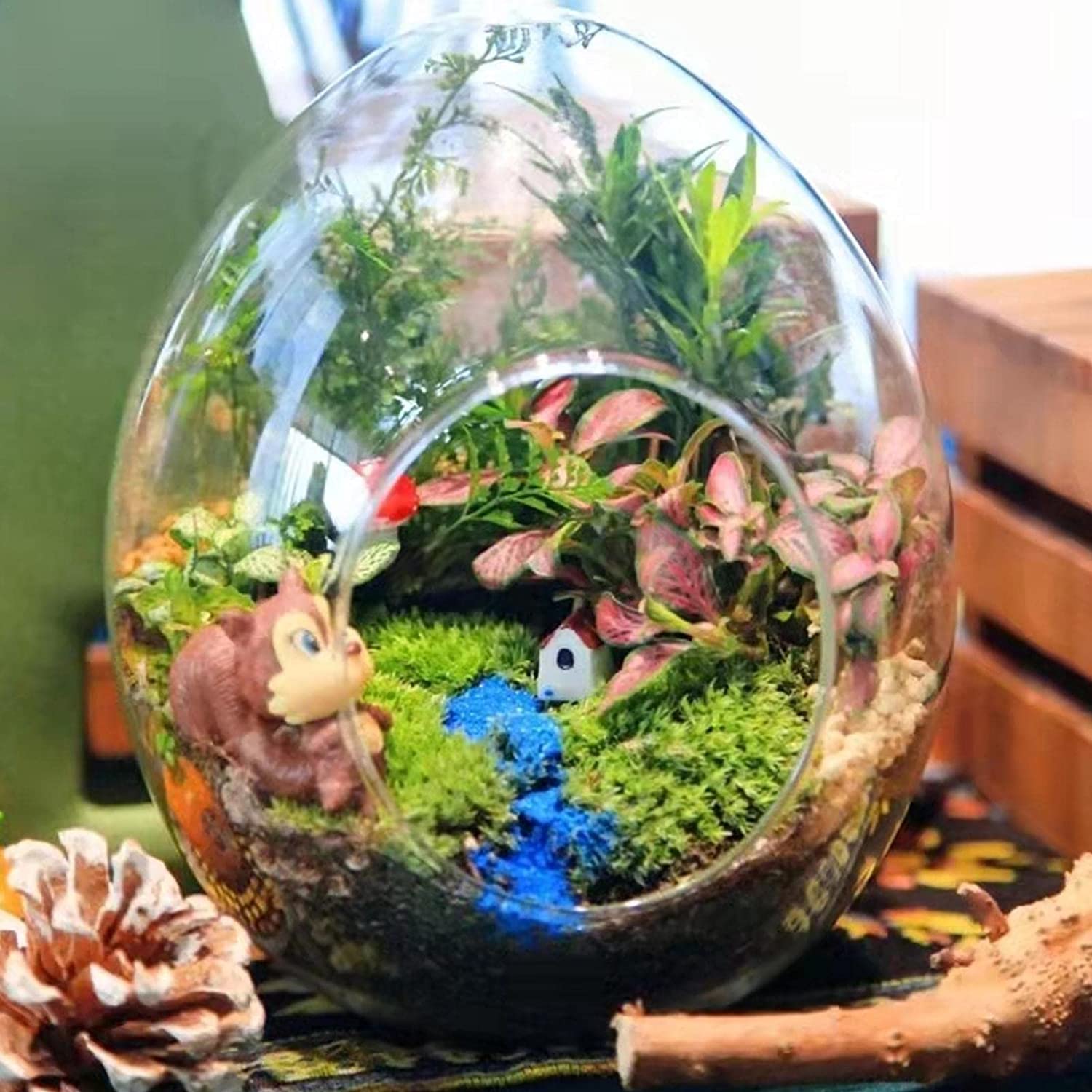 Amazon.co.jp: 水苔 天然水苔 ミズゴケ 水耕用肥料 圧縮水苔 150g 植物